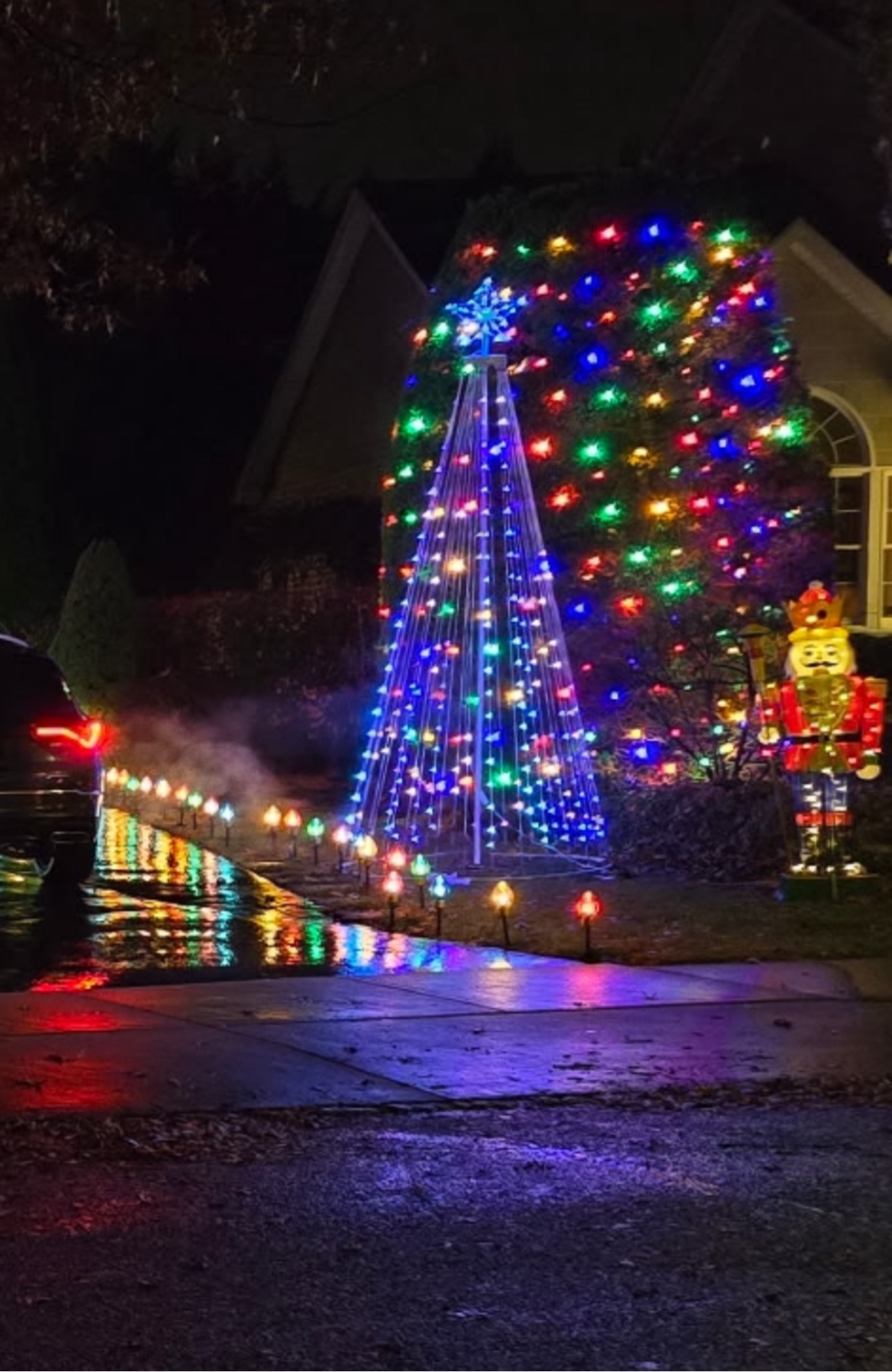 Outdoor tree decorated with colorful Christmas lights